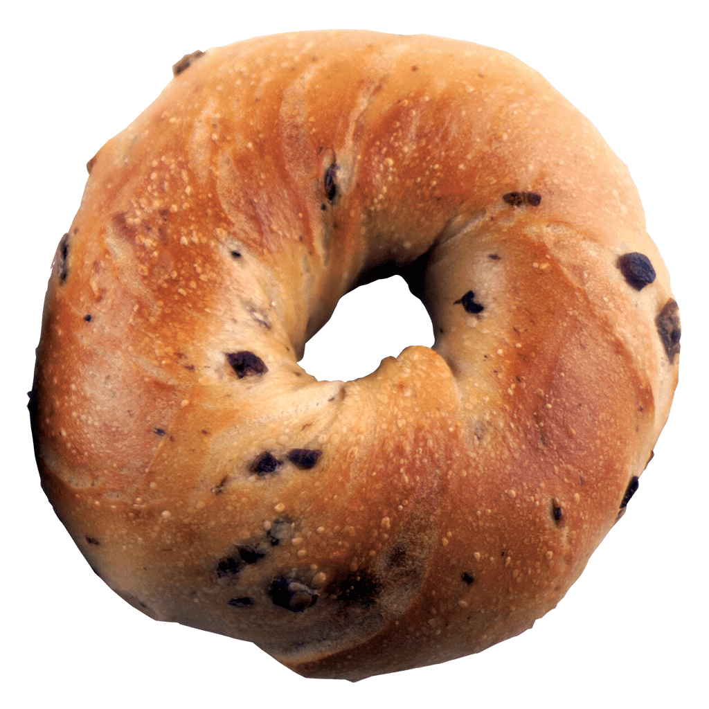 Kalamata Olive bagel